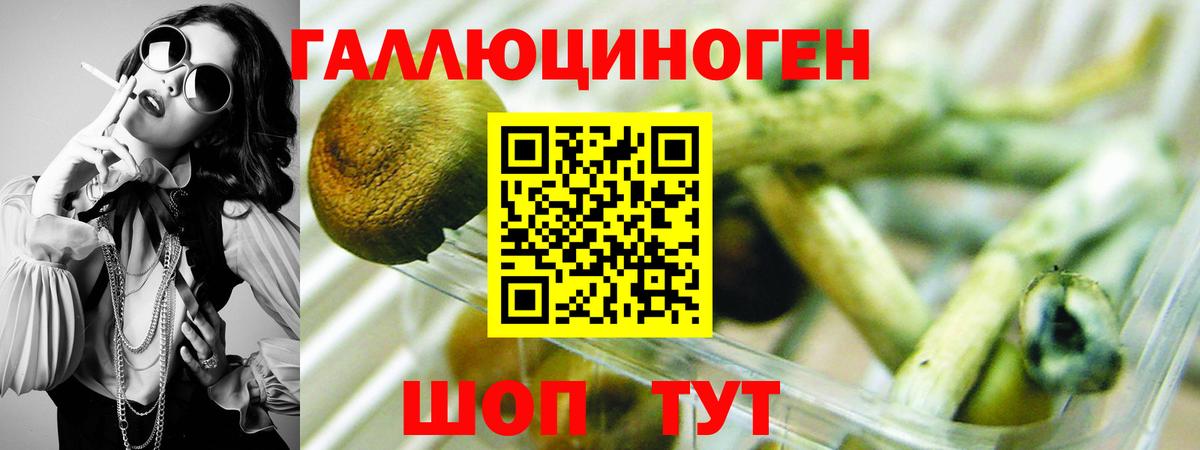 Мурино  Галлюциногенные грибы MAGIC MUSHROOMS  Вход с VPN 